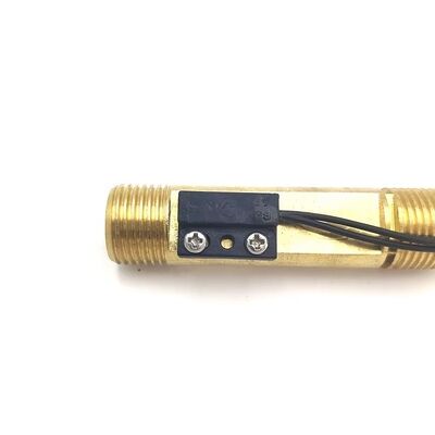 Interruttore di flusso d'acqua magnetico in rame 220V/110V per scaldabagni a gas