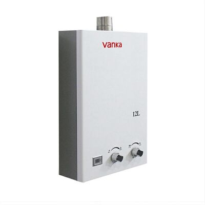 Scaldabagno a gas di scarico domestico 10L 16L Sistema idrico domestico ad acqua calda istantanea Alta efficienza e funzionamento sicuro