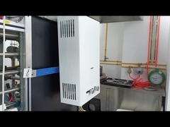 10L Capacità Scaldabagno a gas Sistema di combustione bilanciato Riscaldamento rapido