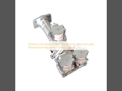 Scaldacqua a gas per esterni con valvola proporzionale Regolazione precisa della temperatura Risparmio energetico